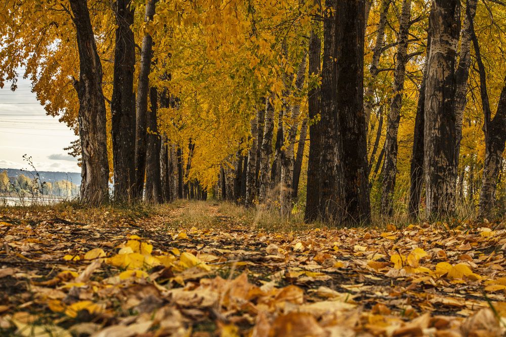 Photograph by миша