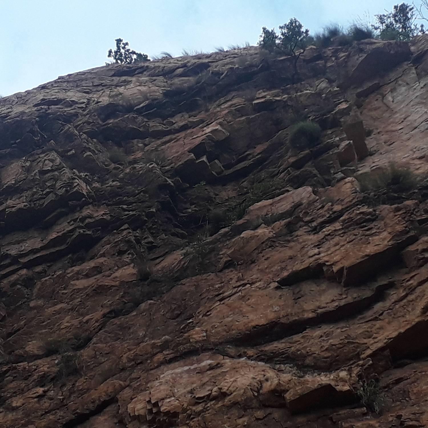 Photo #6609503