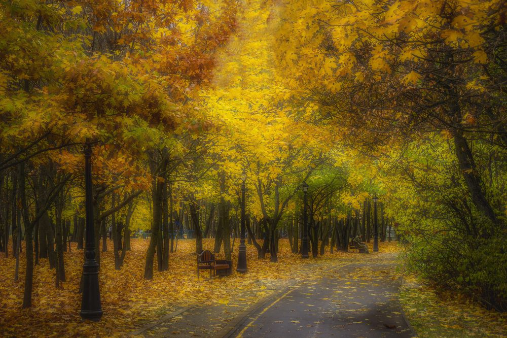 Photograph by Leanid Kulpo