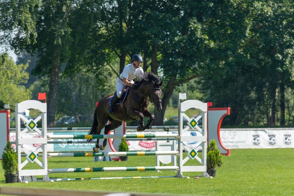 Фотография автора Aлексей Игнатьев