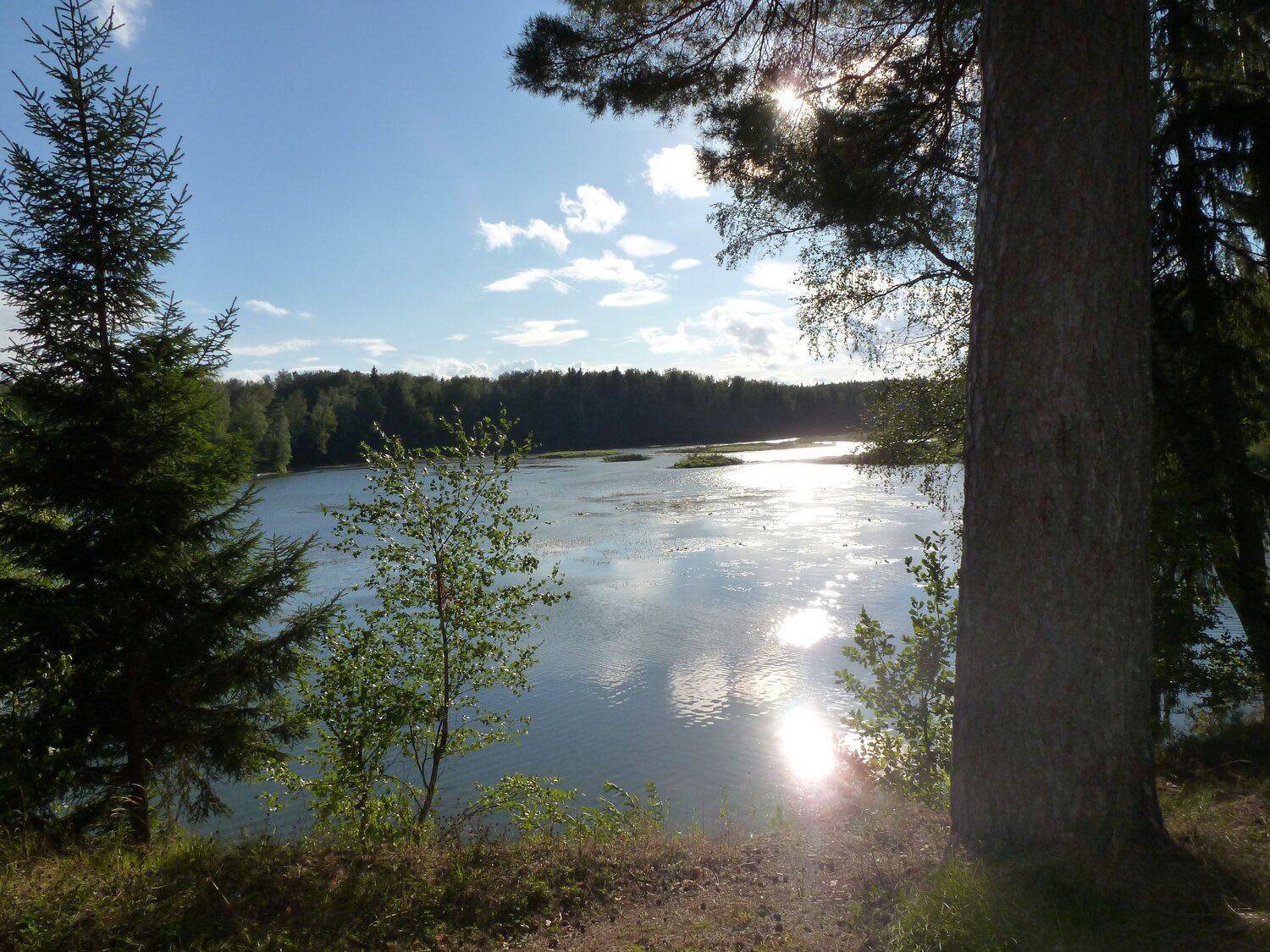 Photo #6609525