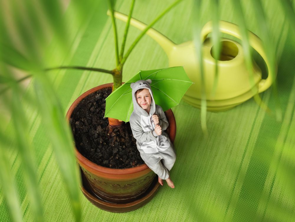 Фотография автора Ангелина Косова