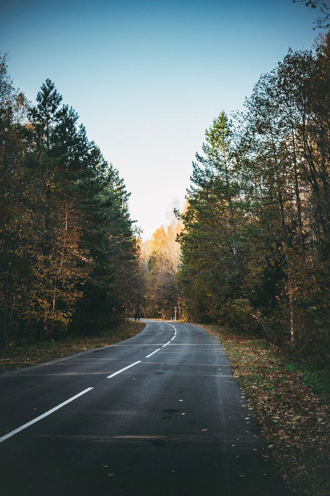 Photograph by Елена