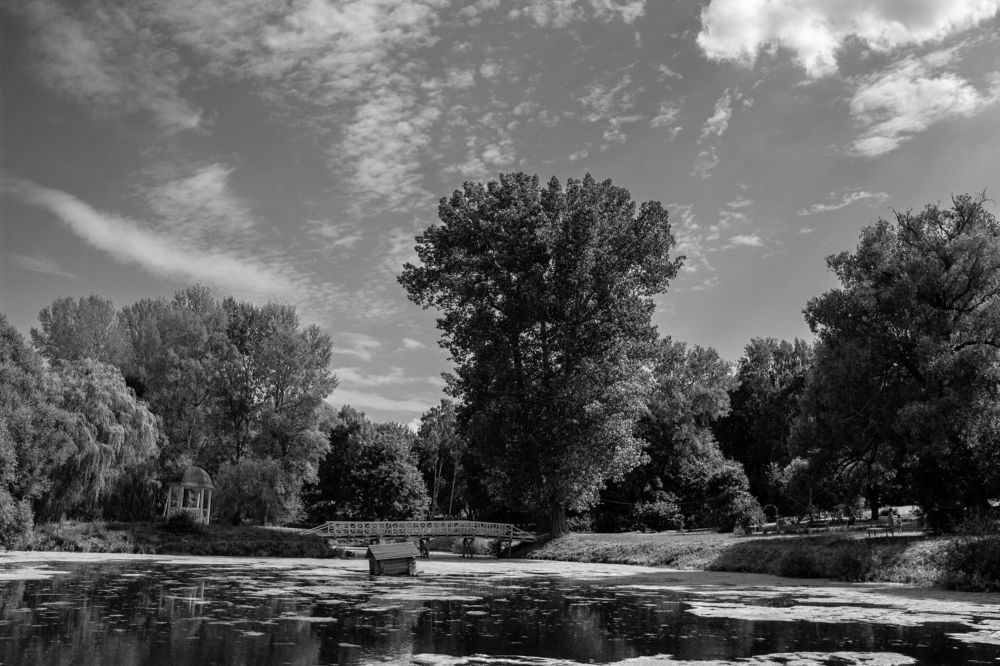 Photograph by Антон Чаузов