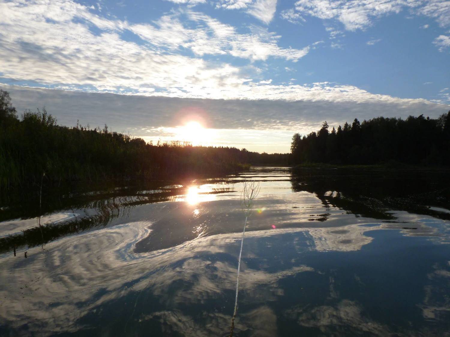 Photo #6609594