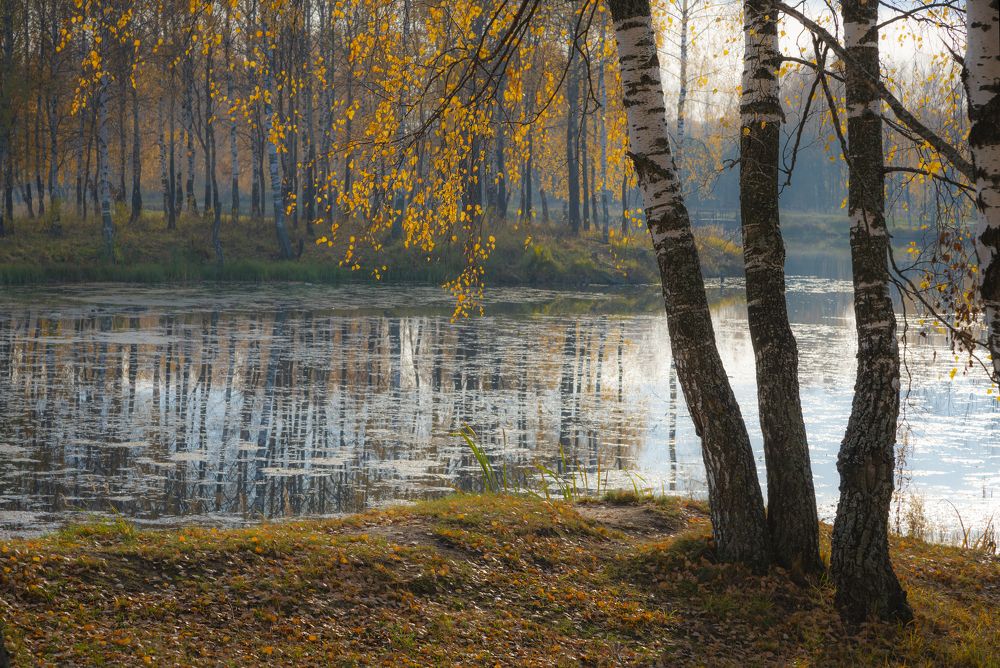 Photograph by Валентин Завьялов