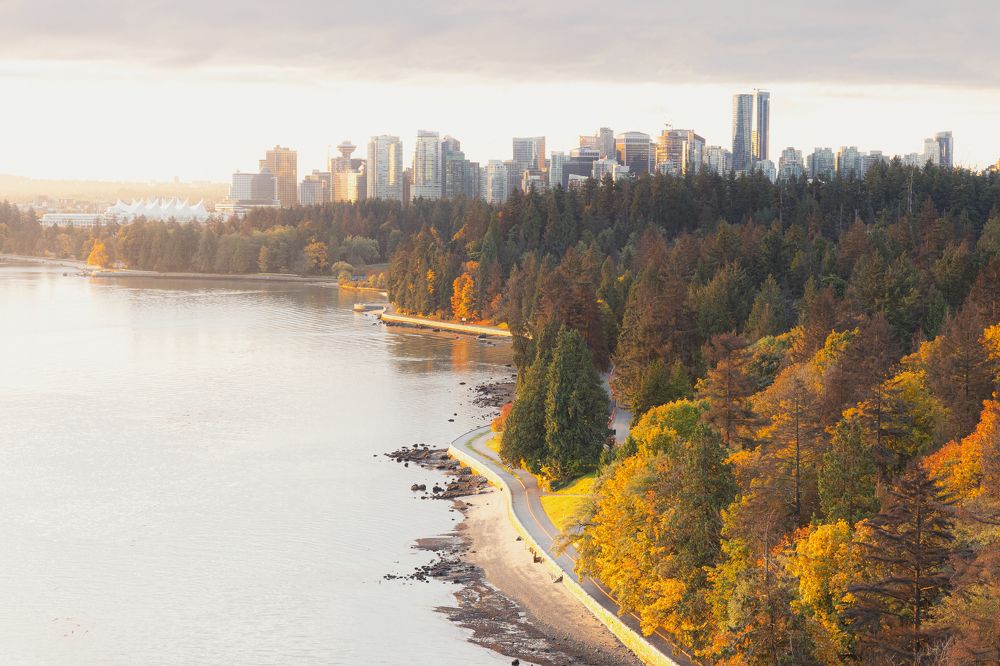 Photograph by TOMOMI YAMADA