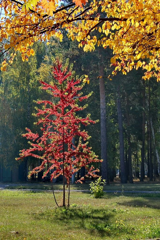 Photograph by Олег Еловиков