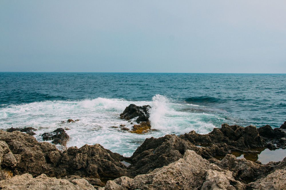 Photograph by Елена