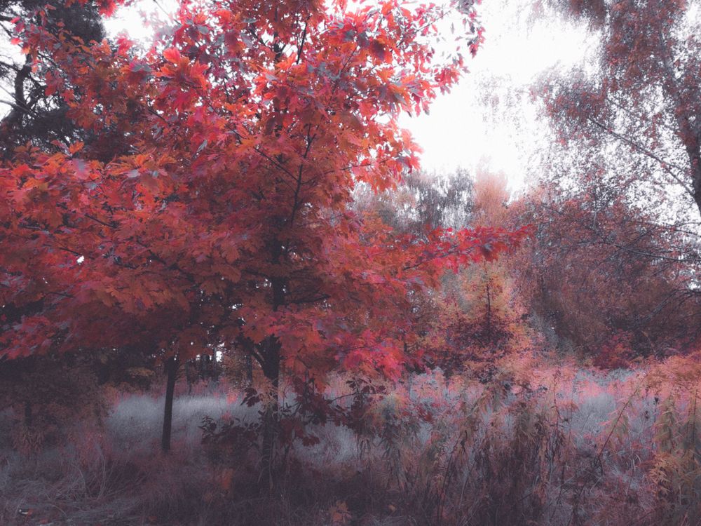 Photograph by Валерия Гончарова-Горобченко