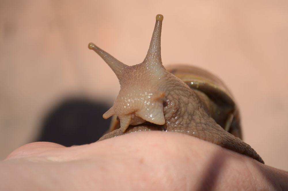 Photograph by Денис Смородин