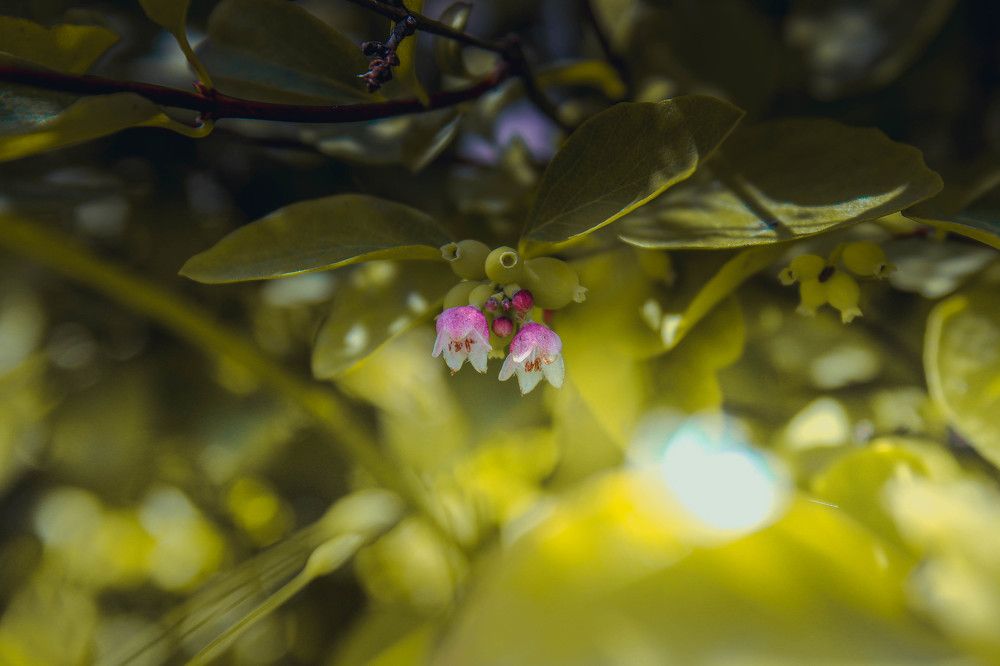 Photograph by Олечка