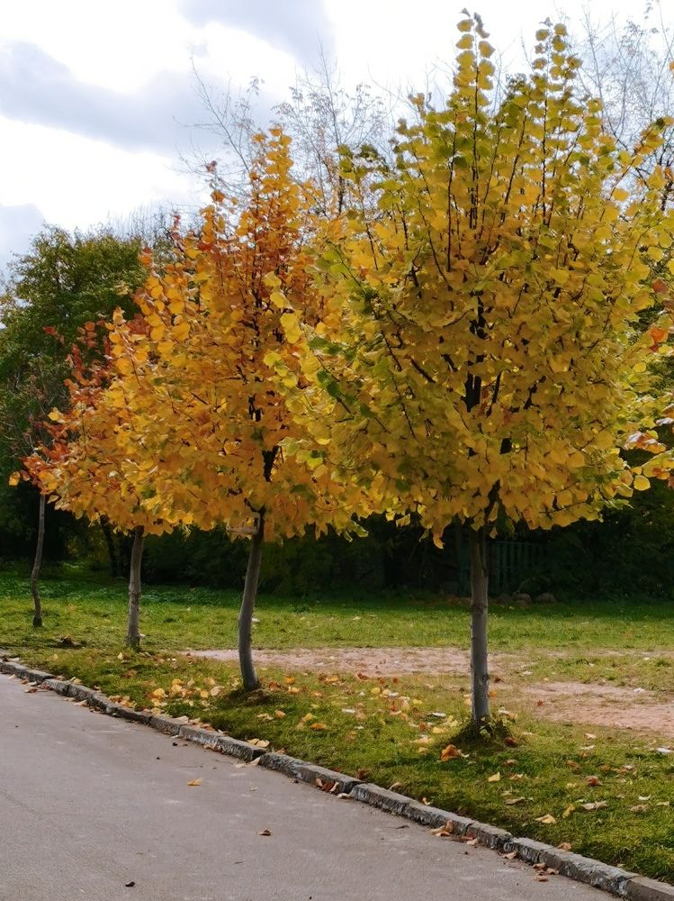 Photograph by Оксана Урбанович