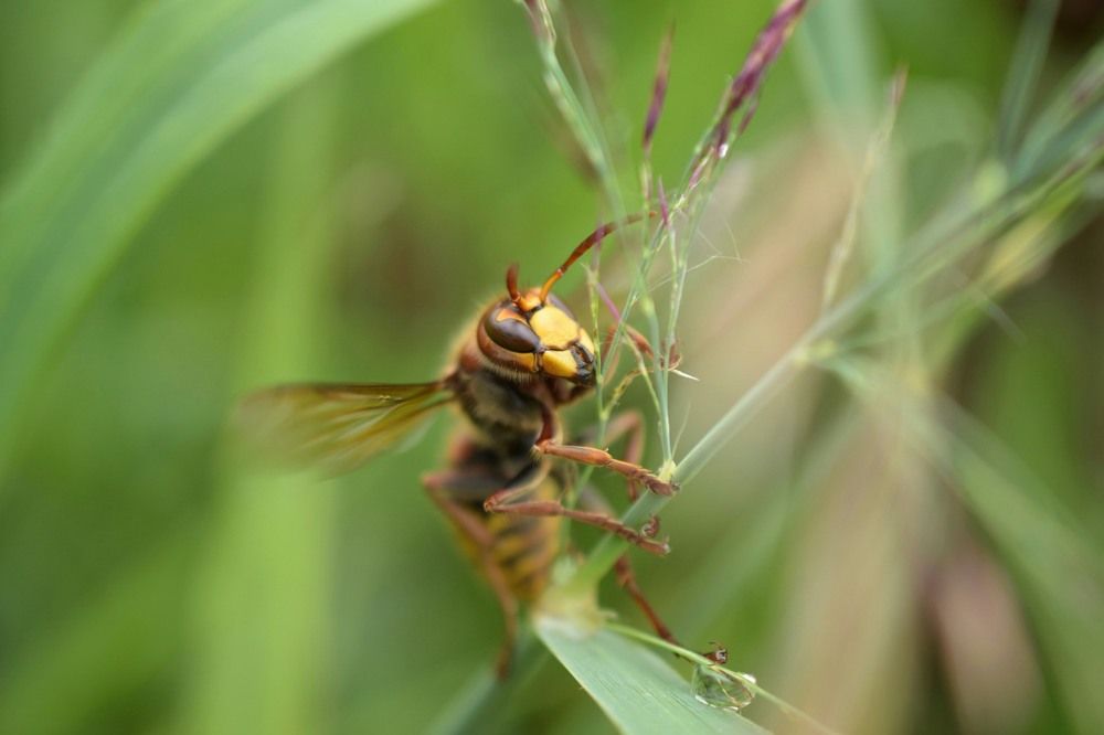 Photograph by Tomasz Szczesny