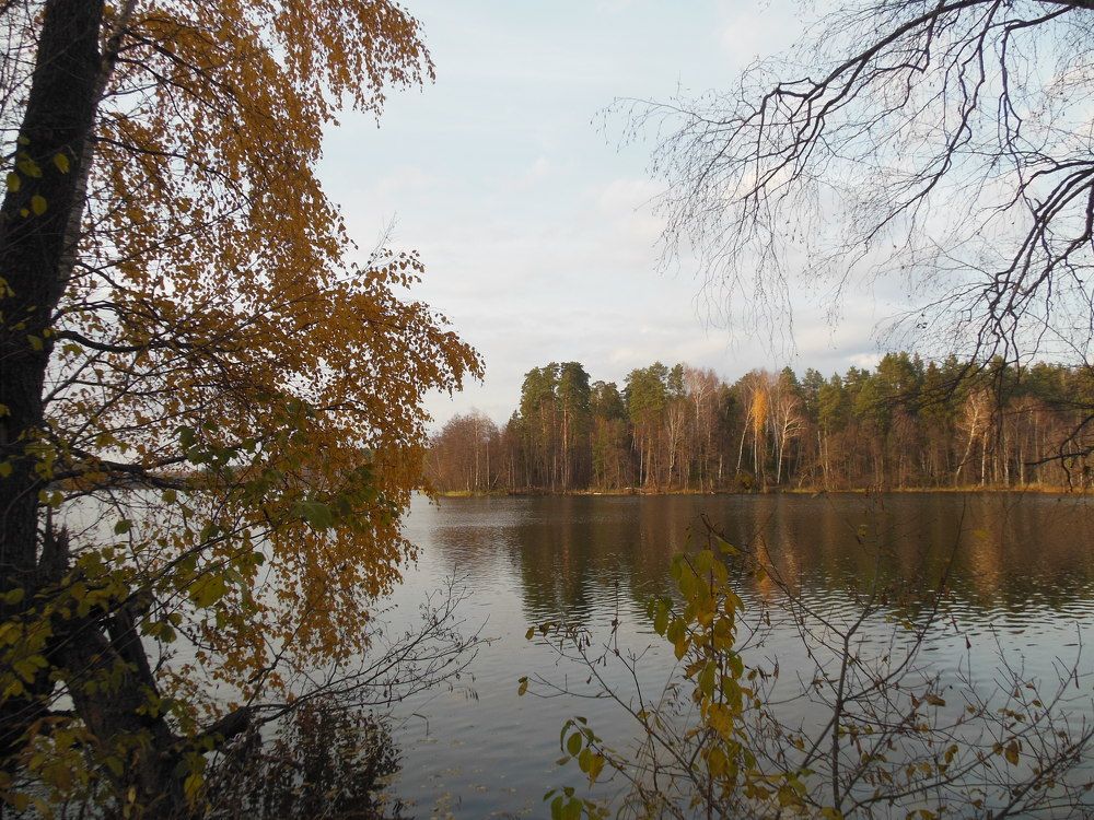 Photograph by Светлана Батурова