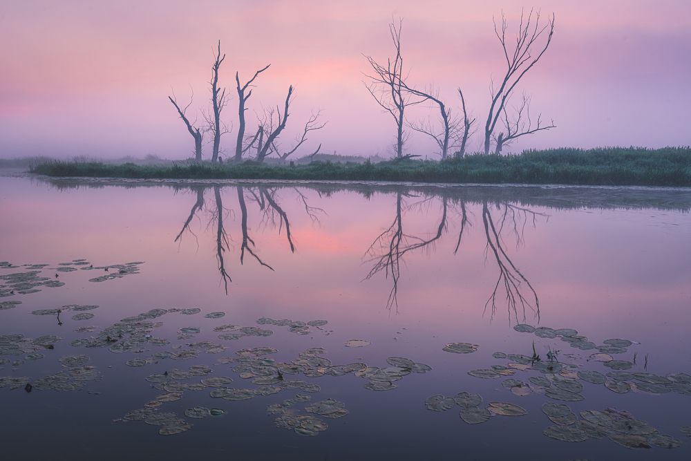 Photograph by Dariusz Budyta