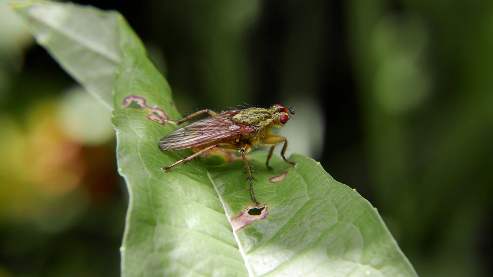 Photograph by Алексей Чернов