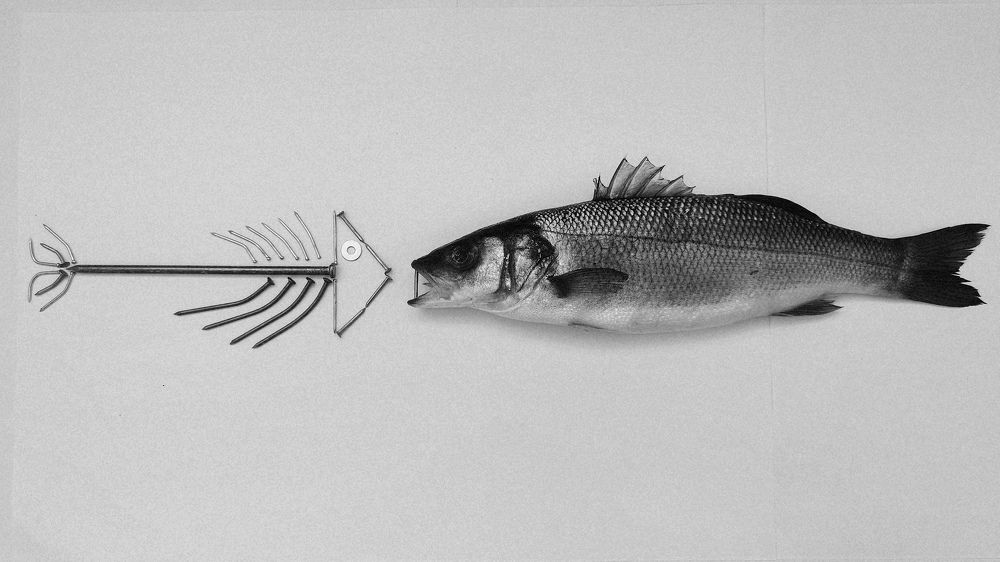 Photograph by Олеся Газиева