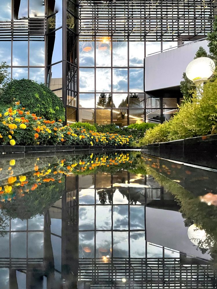 Photograph by Елена Горбунова