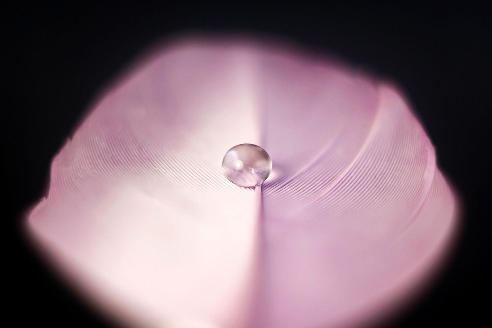 Photograph by Алена Царицына