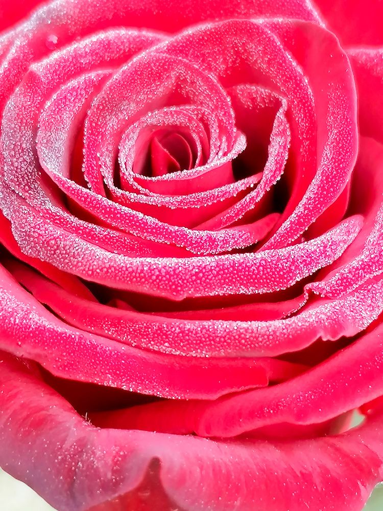Photograph by Екатерина Комарова