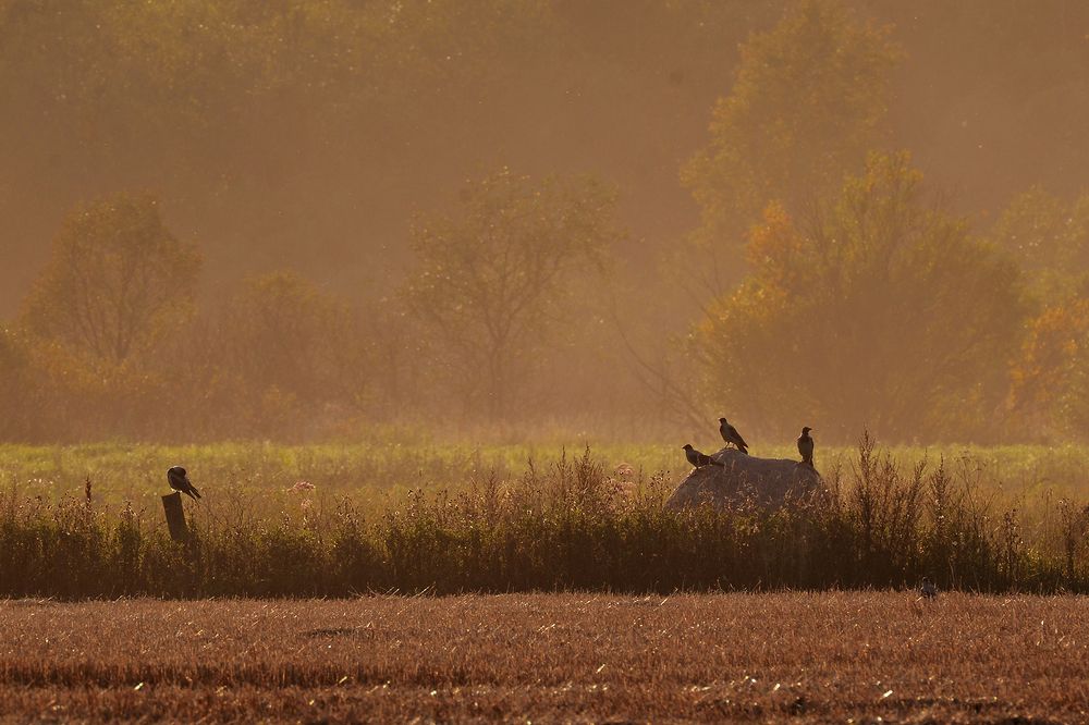 Photograph by Наталья