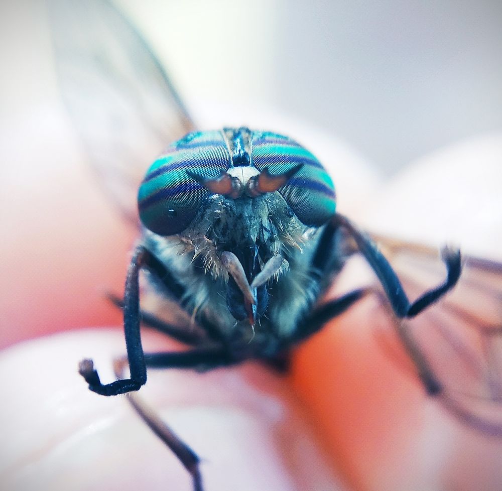 Photograph by Ирина Чагина