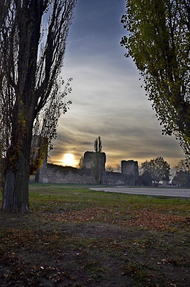 Фотография автора Stevo Dragić