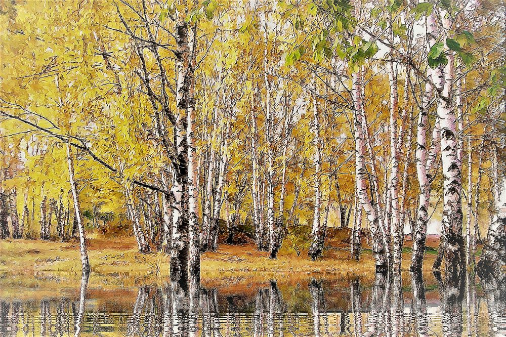 Photograph by Хвостов владимир Владимирович