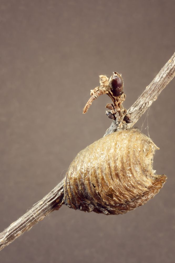 Photograph by Ирина Кротова