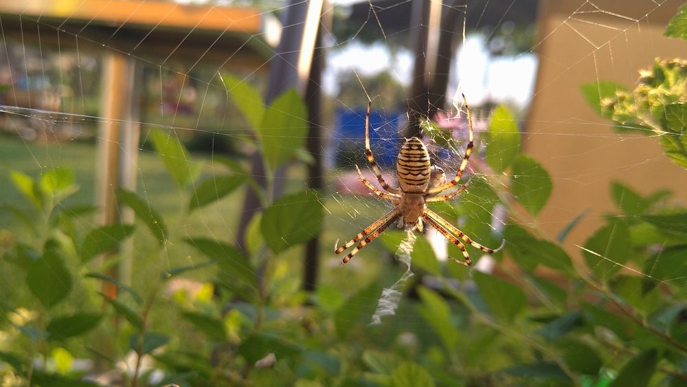 Фотография автора Svetlana Tsvetanova