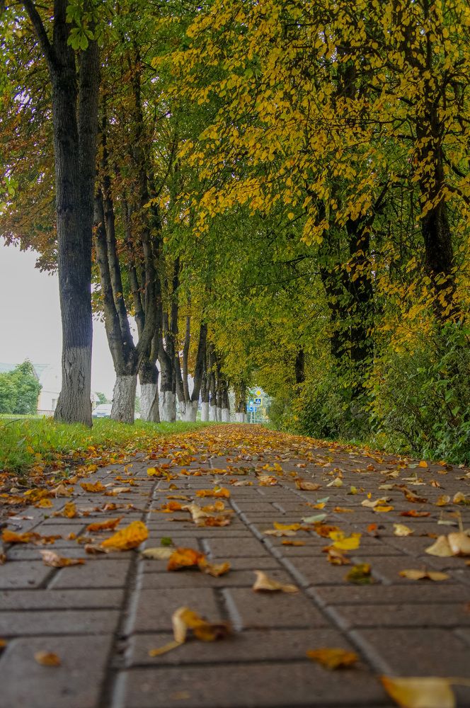 Photograph by Никита