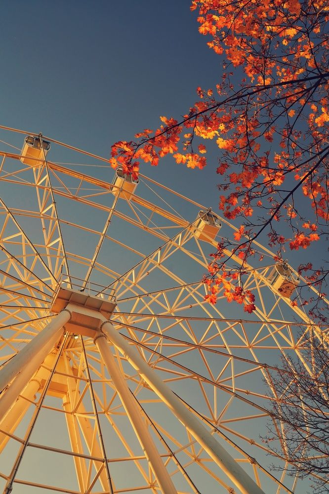 Фотография автора Дмитрий Романов