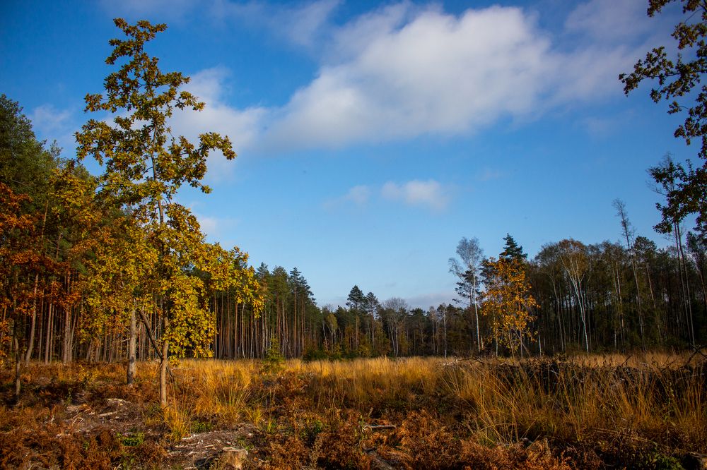 Photograph by Иван Полиненко