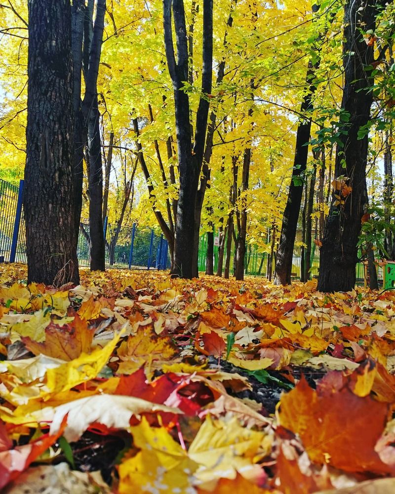 Photograph by Виталий Полозов