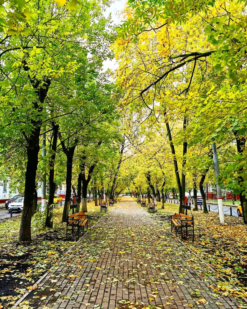 Photograph by Виталий Полозов