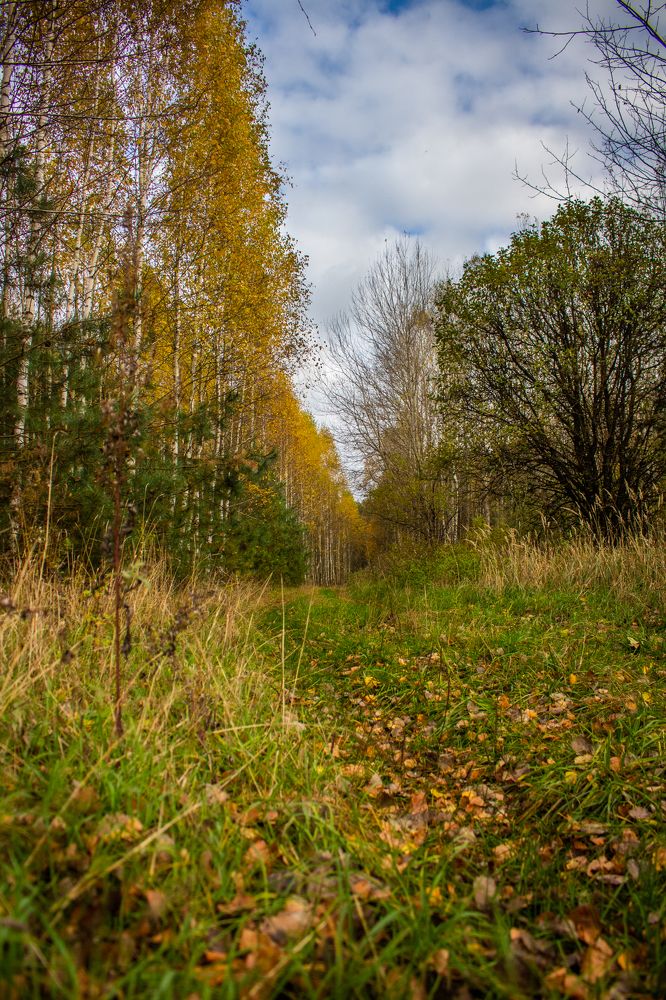 Photograph by Иван Полиненко