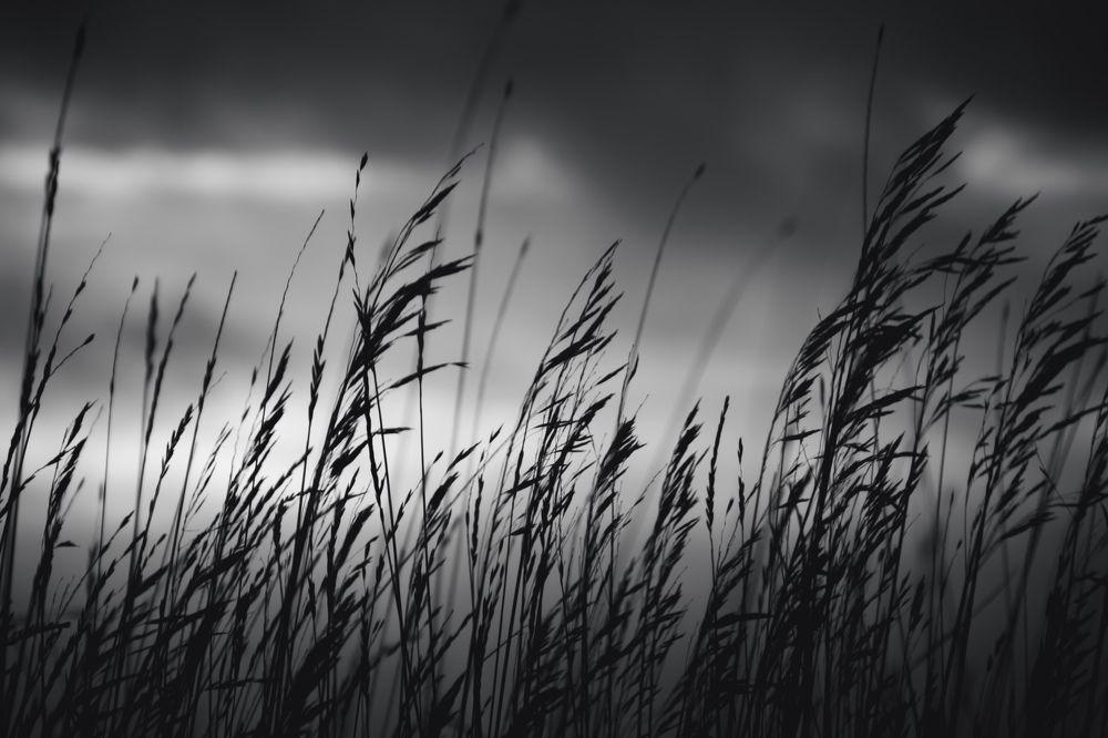 Photograph by Алексей Перегудин