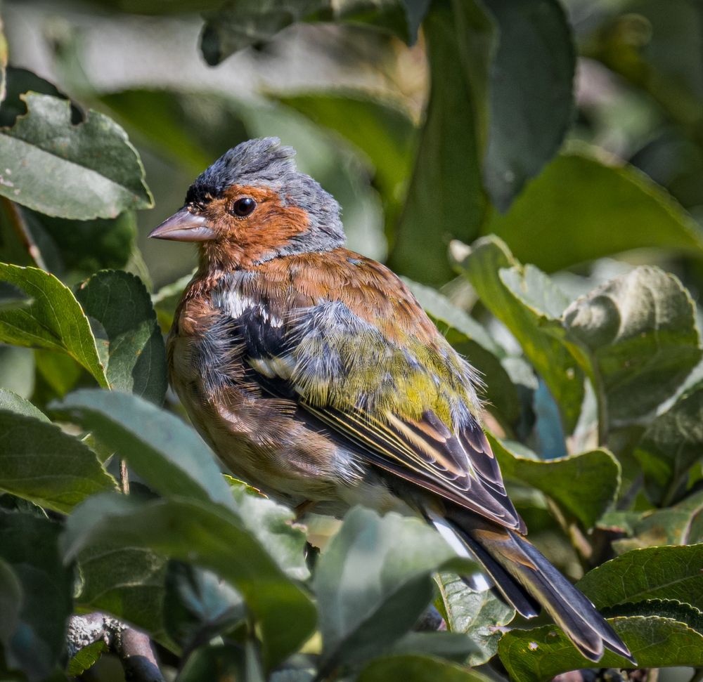 Photograph by Курлянцев Алексей