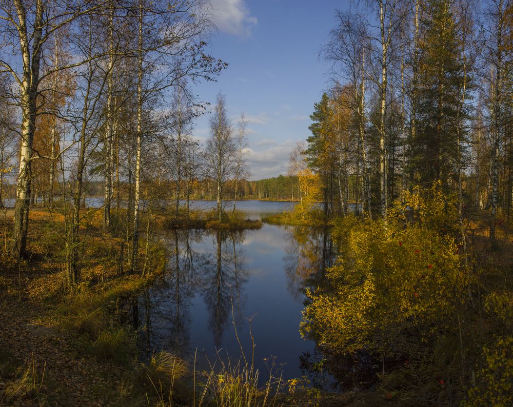 Photograph by Вячеслав Булатов