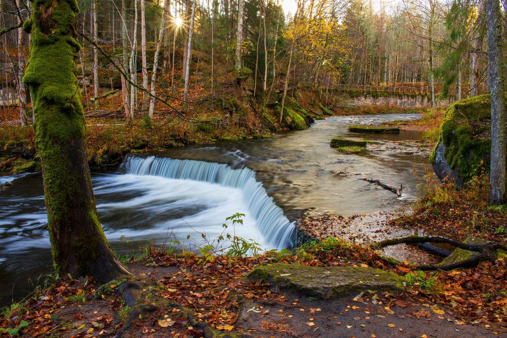 Photograph by Andres Papp