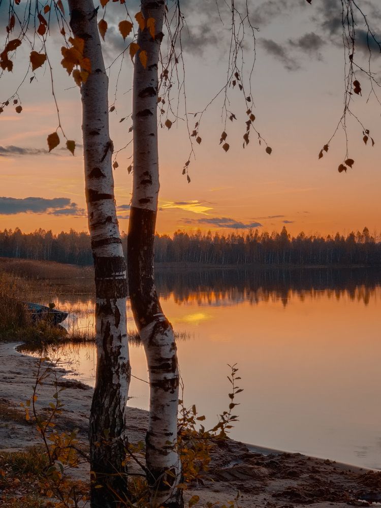 Photograph by Елена Башмакова