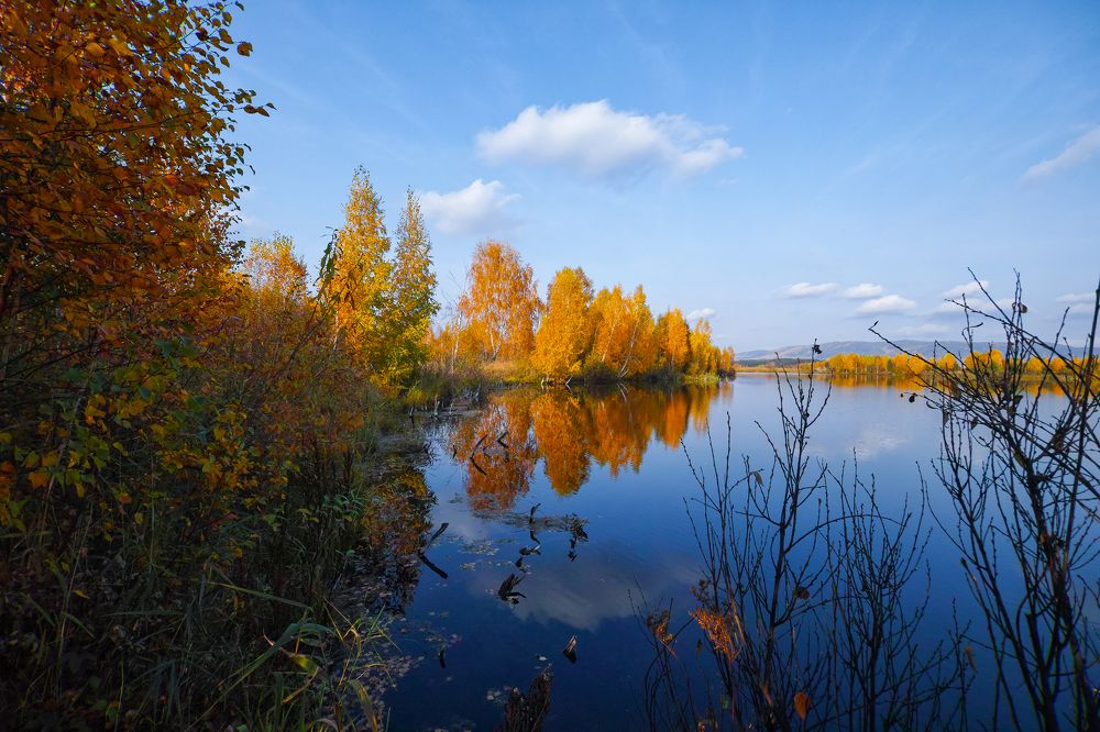 Photograph by Дмитрий Цыпляев