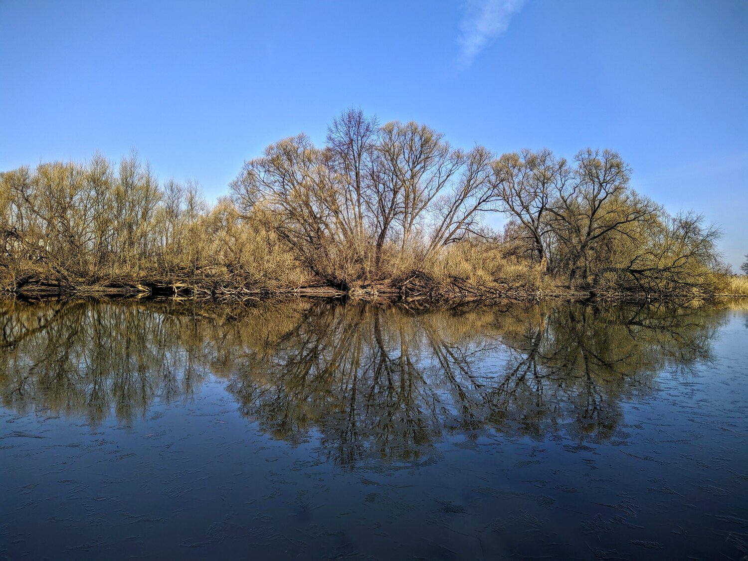 Photo #6610171