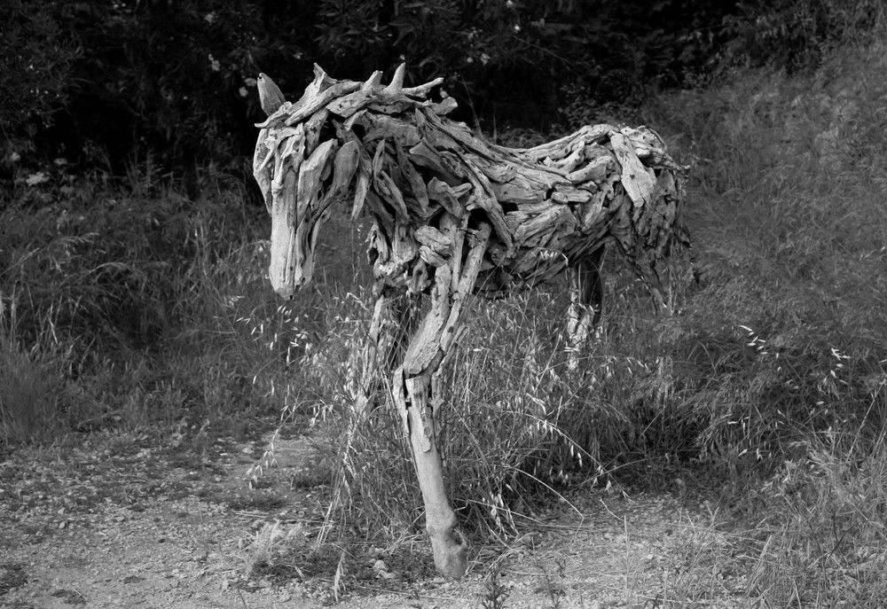 Photograph by Irina Moghiliova