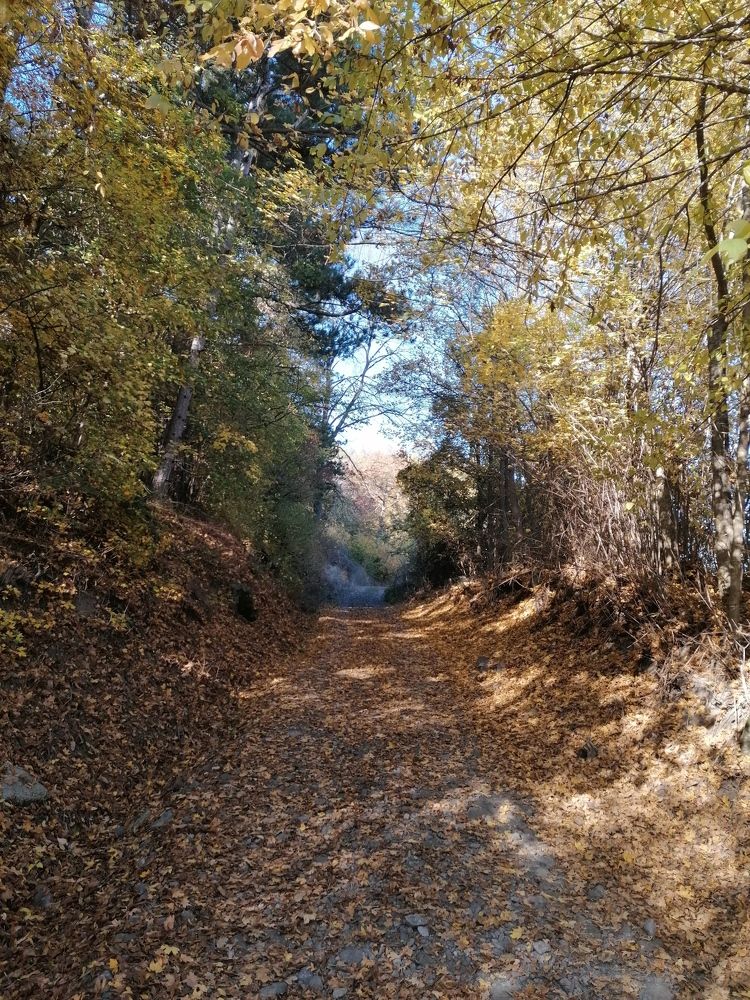 Фотография автора Danica Utjesinovic