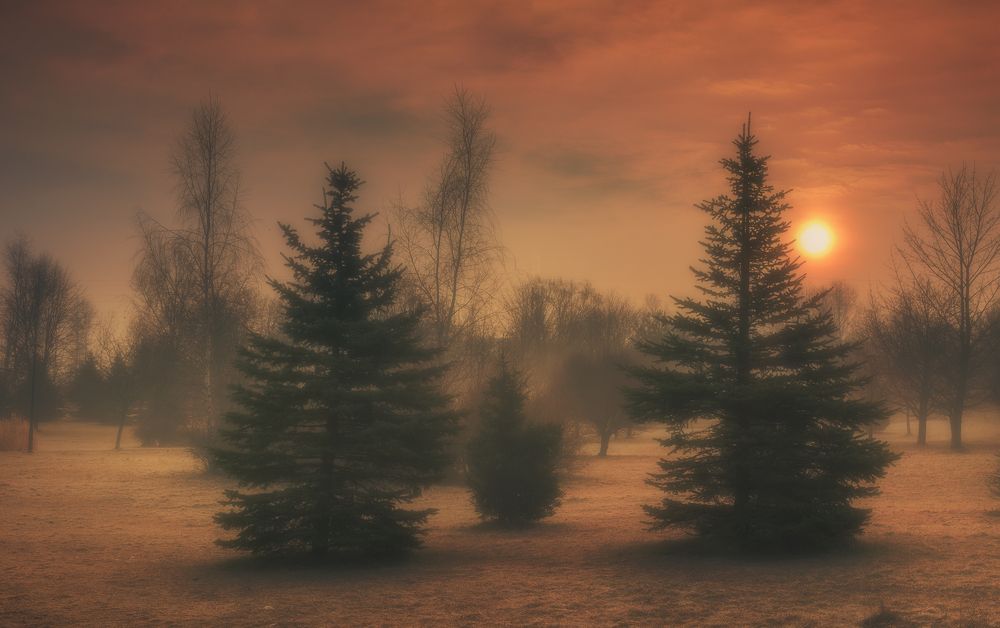 Photograph by Tomasz Szczesny