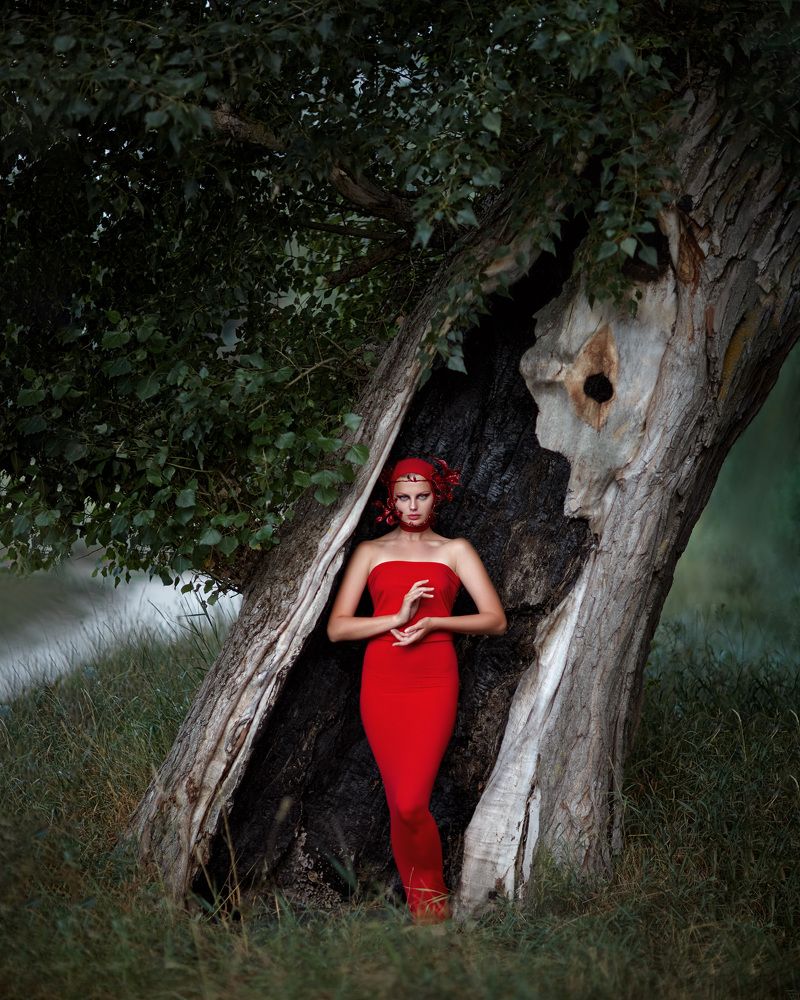 Photograph by Vladimir Karnatskyi