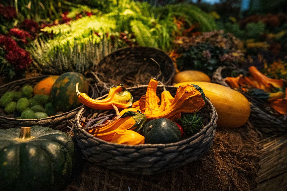 Photograph by Максим Корнаков