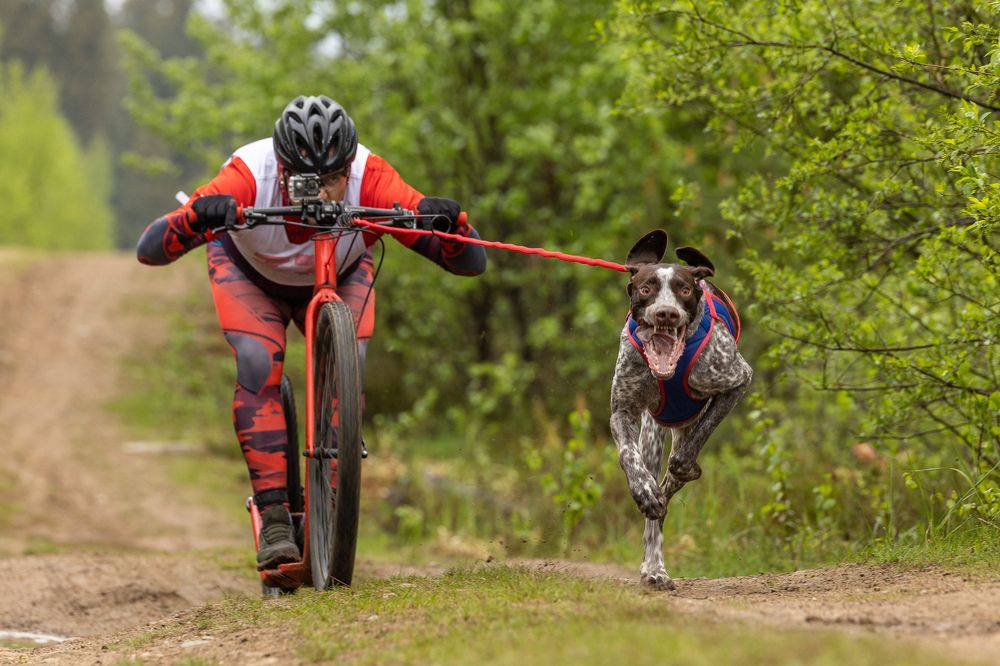 Фотография автора Илья Юфа